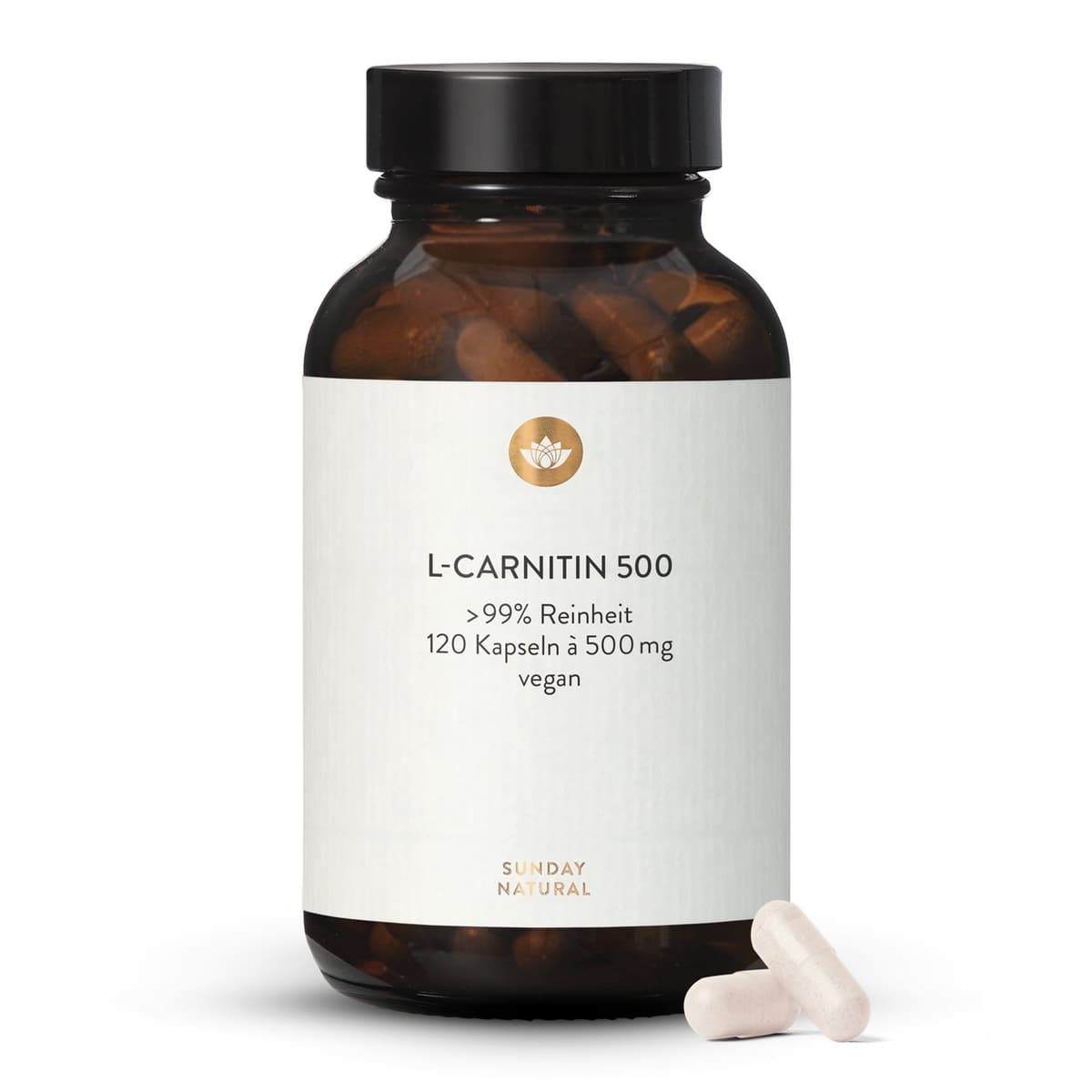 L-Carnitin 500 mg Kapseln