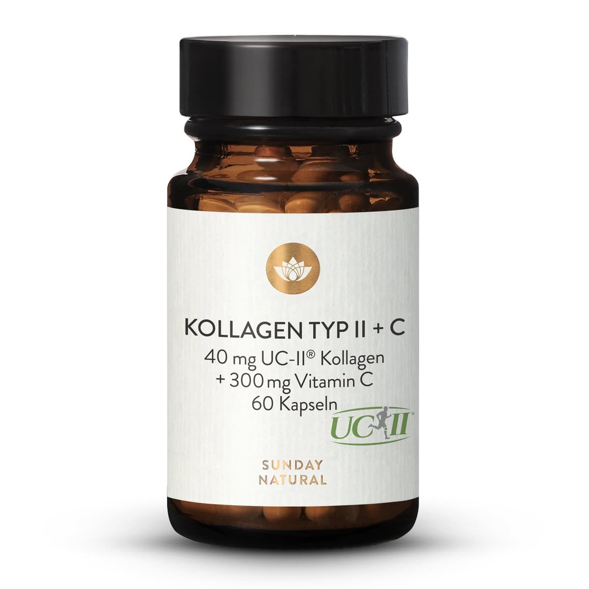 Kollagen Typ II + C